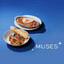 MUSES